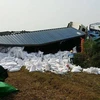 Xe container chở 70 tấn gạo từ Móng Cái bị lật nhào ở Sóc Sơn