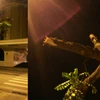Bắt đôi nam nữ thuê người “trừ khử” cây xanh trước cửa nhà 
