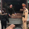 Gần 1 tấn gỗ không rõ nguồn gốc trên chiếc xe tải do nữ tài xế Hiền điều khiển. (Ảnh: PV/Vietnam+)