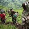 Quân đội Congo phát động tấn công phiến quân M23