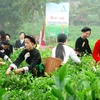  Xúc tiến đầu tư-du lịch tại Festival Trà Thái Nguyên