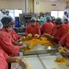Công nhân làm việc trong một nhà máy tại Ấn Độ. (Nguồn: AFP)