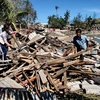 Hỗ trợ 230 hộ dân Lý Sơn bị ảnh hưởng mưa bão 