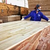 Tài trợ vay vốn 680 tỷ đồng xây dựng nhà máy ván gỗ