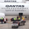 Hãng hàng không Qantas cắt giảm 1.000 việc làm 