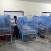 Bệnh nhân nhiễm sốt xuất huyết điều trị tại bệnh viện ở Pakistan. (Ảnh minh họa: AFP/TTXVN)