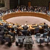 Hội đồng bảo an Liên hợp quốc họp về tình hình Ukraine (Nguồn: AFP/TTXVN)