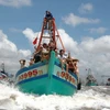 Ngư dân Bạc Liêu bám biển khai thác, bảo vệ lãnh hải