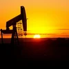 Thị trường dầu mỏ chờ đợi thông tin từ Bộ Năng lượng Mỹ