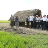 Nhân chuyến thăm chính thức Cộng hòa Cuba, ngày 27/3, Thủ tướng Nguyễn Tấn Dũng đến thăm Dự án trồng lúa nước Việt Nam-Cuba. (Ảnh: Đức Tám/TTXVN)