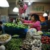 Coface cảnh báo Trung Quốc về nguy cơ khủng hoảng tài chính
