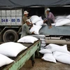 Đã hoàn thành 71% kế hoạch thu mua tạm trữ 1 triệu tấn quy gạo