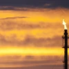 Tập đoàn dầu khí Total của Pháp quyết định rút khỏi Yemen