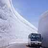 [Photo] Chiêm ngưỡng con đường tuyết trắng tuyệt đẹp ở Nhật Bản