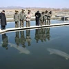 Kim Jong Un thăm trại cá, không có Bộ trưởng Quốc phòng đi cùng