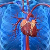 Phương pháp mới giúp nhận dạng tế bào gốc chữa bệnh tim 