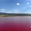 Người dân Vận Thành, tỉnh Sơn Tây, Trung Quốc hào hứng đổ về khu hồ nước mặn lâu đời của thành phố vì dòng nước hồ bỗng đổi sang màu đỏ. (Nguồn: sina)