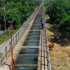 Kênh thủy lợi tại xã Trung Lập Hạ (huyện Củ Chi) thuộc hệ thống kênh đông được kiên cố hóa phục vụ tưới cho 10.500ha đất nông nghiệp. (Ảnh: Mạnh Linh/TTXVN)