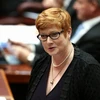 Bà Marise Payne sẽ thay thế ông Kevin Andrews trở thành phụ nữ đầu tiên giữ chức Bộ trưởng Quốc phòng Australia.. (Nguồn: afr.com)