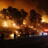 Lực lượng cứu hỏa nỗ lực khống chế các đám cháy rừng ở Valley Fire, California ngày 13/9. (Nguồn: AFP/TTXVN)