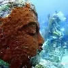 Thế giới ngỡ ngàng về ngôi đền bí ẩn dưới đáy biển Indonesia