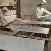 Công nhân làm việc trong một nhà máy ở Vĩnh Phúc. (Ảnh: Trần Việt/TTXVN)