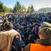 Người di cư tại khu vực biên giới Slovenia-Áo ngày 3/11. (Nguồn: AFP/TTXVN)