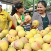 Trái cây là một trong những mặt hàng xuất khẩu chủ lực của Việt Nam. (Ảnh: Phương Vy/TTXVN)