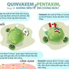 [Infographics] Nên tiêm cho trẻ Quinvaxem hay Pentaxim?