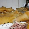 Phát hiện hàng nghìn kg lòng lợn đang phân hủy, bốc mùi hôi thối