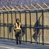 Binh sỹ Hàn Quốc tuần tra tại tuyến đường dẫn tới khu công nghiệp Kaesong ở thành phố biên giới Paju, gần Khu phi quân sự (DMZ) giữa hai miền, ngày 8/1. (Nguồn: AFP/TTXVN) 
