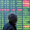 Nhà đầu tư theo dõi tỷ giá chứng khoán tại Hàng Châu, tỉnh Chiết Giang, miền Đông Trung Quốc ngày 11/1. (Nguồn: AFP/TTXVN)