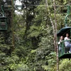 Rừng nhiệt đới thuộc Công viên quốc gia Braulio Carrillo, Costa Rica. (Nguồn: THX/TTXVN)