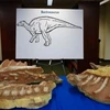 Mỹ trao trả hóa thạch của 6 loài khủng long cho Mông Cổ 