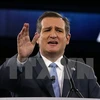 Thượng nghị sỹ bang Texas Ted Cruz. (Nguồn: AFP/TTXVN)