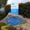 Một chi nhánh của Công ty dược phẩm Pfizer ở ngoại ô Cork, miền Nam Ireland. (Nguồn: AFP/TTXVN)