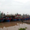Tàu thuyền của ngư dân tránh trú bão tại khu neo đậu tàu thuyền thị trấn Thịnh Long, huyện Hải Hậu. (Ảnh: Văn Đạt/TTXVN)