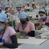 Sản xuất quần áo tại Công ty trách nhiệm hữu hạn một thành viên Dệt may PanKo Tam Thăng. (Ảnh: Đoàn Hữu Trung/TTXVN)
