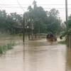 Cảnh ngập lụt ở huyện Mộ Đức, Quảng Ngãi. (Ảnh: Phước Ngọc/TTXVN)