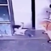 [Video] Hành động bất ngờ của bà mẹ cứu con gái bị kẹp thang máy