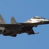 Máy bay Su-30MKI. (Nguồn: sputniknews.com) 