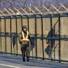 Binh sỹ Hàn Quốc tuần tra tại tuyến đường dẫn tới khu công nghiệp Kaesong ở thành phố biên giới Paju, gần Khu phi quân sự (DMZ) giữa hai miền. (Nguồn: AFP/TTXVN)