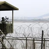 Một binh sỹ Hàn Quốc gác tại khu biên giới liên Triều. (Nguồn: EPA)