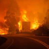 Ngọn lửa dữ dội trong vụ cháy rừng ở Pedrogao Grande, quận Leiria ngày 17/6. (Nguồn: EPA/TTXVN)