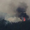 Khói bốc lên trong vụ cháy rừng gần Bormes les Mimosas, miền nam Pháp ngày 27/7. (Nguồn: EPA/TTXVN)