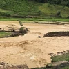 Diện tích lúa của bà con bản Xẻ và bản Khăm Pọm, xã Phu Luông, huyện Điện Biên bị vùi lấp. (Nguồn: TTXVN)