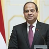 Tổng thống Ai Cập Abdel Fattah El-Sisi thăm chính thức Việt Nam từ ngày 6-7/9. (Nguồn: lleastafrica.com)