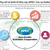 [Infographics] Các xu hướng về phụ nữ và kinh tế khu vực APEC
