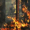 Khói lửa bốc lên từ đám cháy rừng ở Glen Ellen, California ngày 9/10. (Nguồn: AFP/TTXVN)