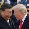 Tổng thống Donald Trump và Chủ tịch Trung Quốc Tập Cận Bình. (Nguồn: AP)